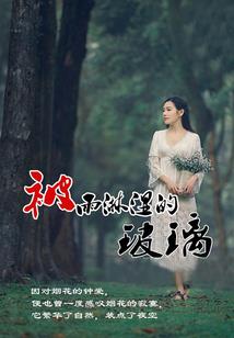 雷莽纵横
