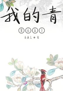 星龙圣域
