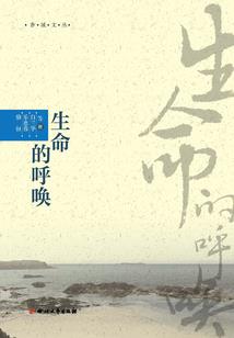 虚拟进化游戏