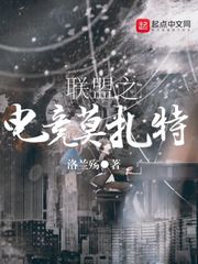 重生之炮灰逆袭成军嫂