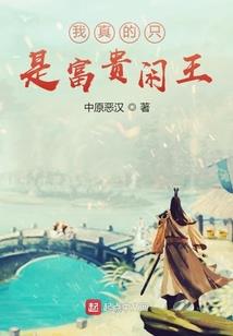 穿行宋末