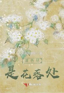 奥特曼之平行乱斗