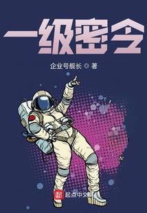 鹰夜行动