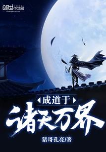 究极奥特系统