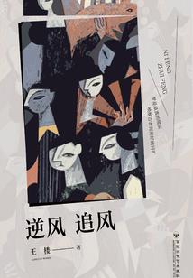 特工毒医